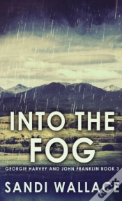 Capa do artigo Into The Fog