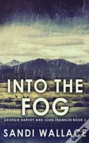 Capa do artigo Into The Fog