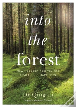 Capa do artigo Into The Forest