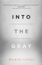 Into The Gray - Preview
