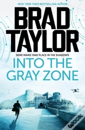 Into The Gray Zone