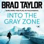 Into The Gray Zone - Preview