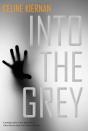 Into The Grey - Preview