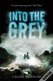 Capa do artigo Into The Grey