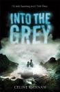 Into The Grey - Preview