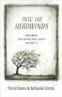 Into The Headwinds - Preview