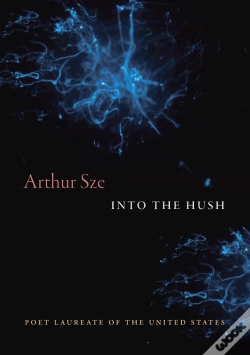 Capa do artigo Into The Hush