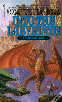 Capa do artigo Into The Labyrinth