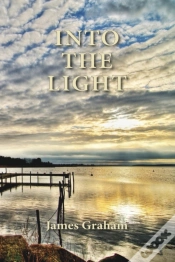 Capa do artigo Into The Light