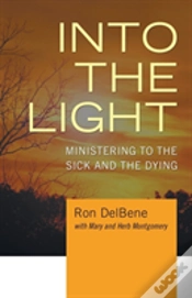 Capa do artigo Into The Light