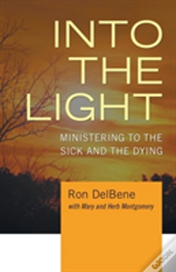 Capa do artigo Into The Light