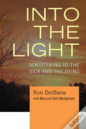 Capa do artigo Into The Light