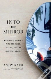Capa do artigo Into The Mirror