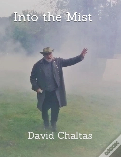 Capa do artigo Into The Mist