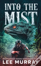 Capa do artigo Into The Mist