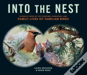 Capa do artigo Into The Nest
