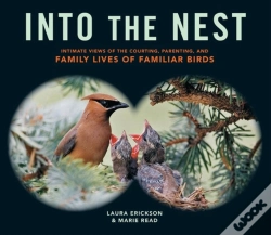 Capa do artigo Into The Nest