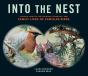 Into The Nest - Preview