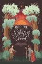Into The Nightfell Wood - Preview
