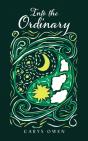 Into The Ordinary - Preview