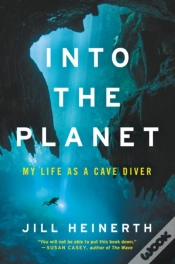 Capa do artigo Into The Planet