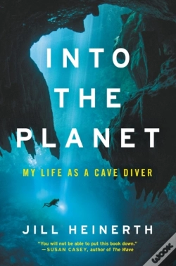 Capa do artigo Into The Planet