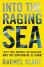 Into The Raging Sea Intl - Preview
