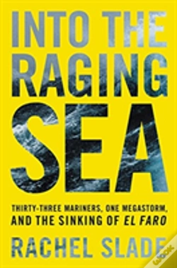 Capa do artigo Into The Raging Sea Intl