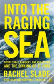 Capa do artigo Into The Raging Sea