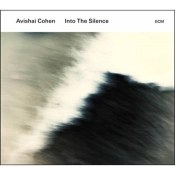 Capa do artigo Into the Silence - CD