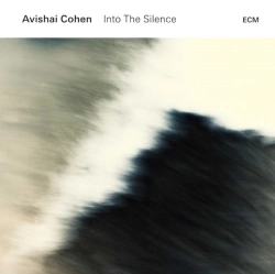 Capa do artigo Into the Silence - Vinil