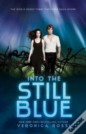 Into The Still Blue