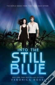 Capa do artigo Into The Still Blue