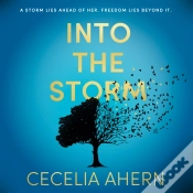 Capa do artigo Into The Storm