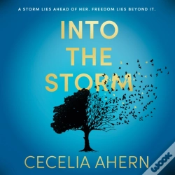 Capa do artigo Into The Storm