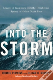 Capa do artigo Into The Storm