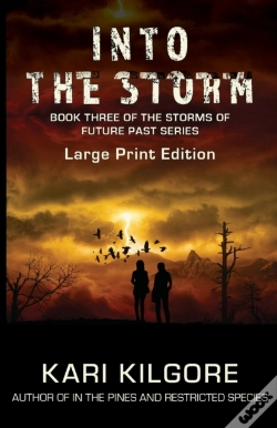 Capa do artigo Into The Storm