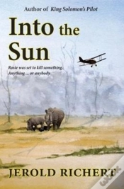 Capa do artigo Into The Sun