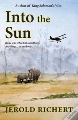 Capa do artigo Into The Sun