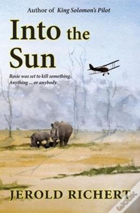 Into The Sun