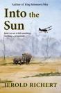Into The Sun - Preview