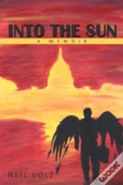 Capa do artigo Into The Sun
