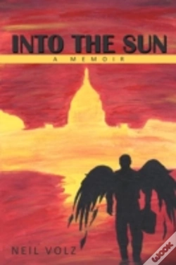 Capa do artigo Into The Sun