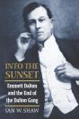 Into The Sunset - Preview