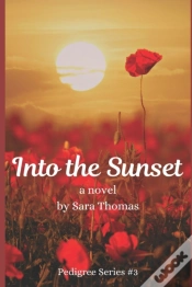 Capa do artigo Into The Sunset
