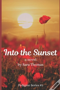 Capa do artigo Into The Sunset