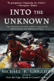 Capa do artigo Into The Unknown