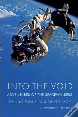 Capa do artigo Into The Void