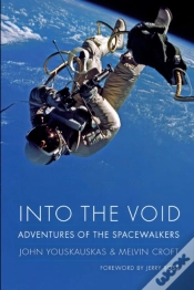 Capa do artigo Into The Void