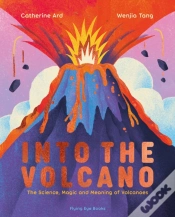 Capa do artigo Into The Volcano